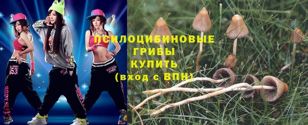 прущие крисы Аркадак
