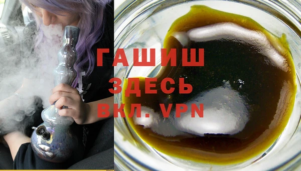 сатива Балахна