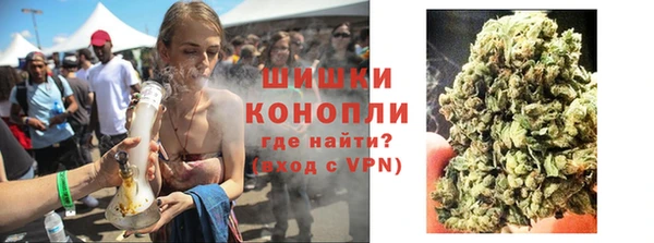 сатива Баксан