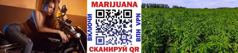 Марихуана THC 21%  Кувшиново 